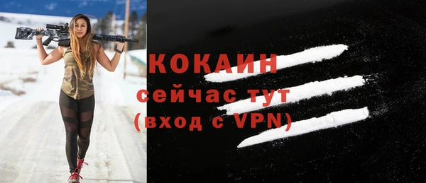 твердый Балахна