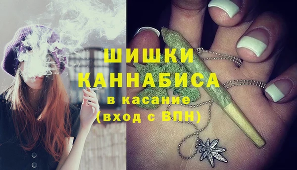 бутират Белокуриха