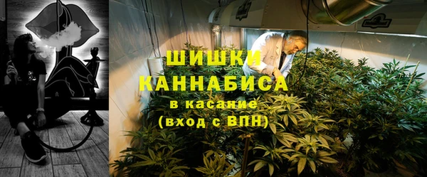 бутират Белокуриха